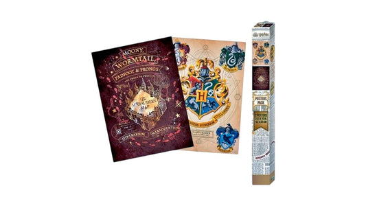 זוג פוסטרים הארי פוטר